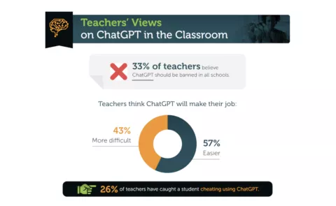 ChatGPT survey